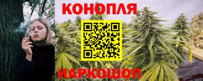 мяу мяу мука Краснодар